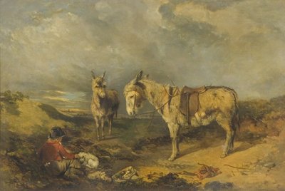 Dos Burros de Charles Branwhite