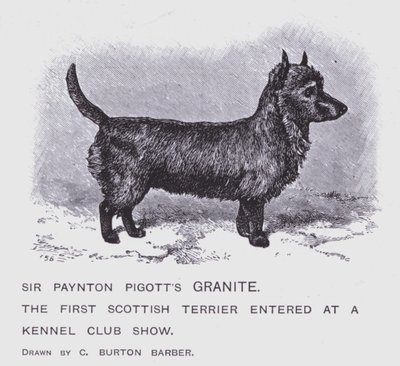 El Granito de Sir Paynton Pigott de Charles Burton (after) Barber