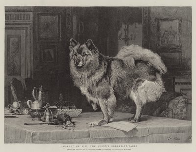 Marco en la mesa de desayuno de Su Majestad la Reina de Charles Burton