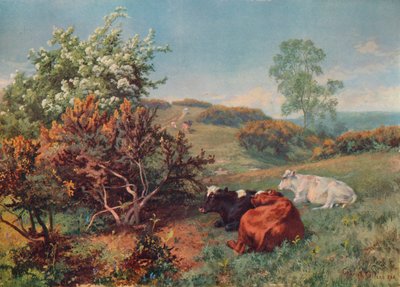 Paisaje con ganado en el Nower, Dorking, c. 1899 de Charles Collins