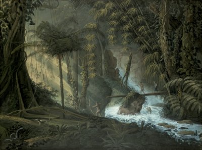 Selva brasileña de Charles Comte de Clarac