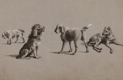 Estudios de perros de Charles Cooper Henderson