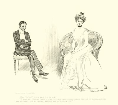 Ilustración para La Escalera Social de Charles Dana Gibson