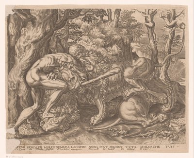 Hércules sostiene al león de Nemea en un estrangulamiento
Obras de Hércules según Frans Floris (título de la serie) de Charles David