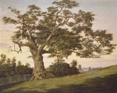 El Roble Charter de Charles de Wolf Brownell