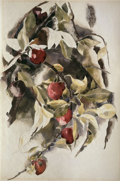 Ciruelas, 1925 de Charles Demuth