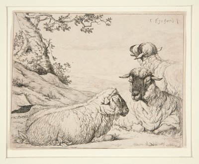 tres ovejas de Charles Echard