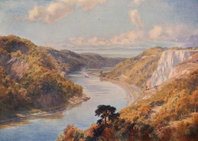 El Avon en Bristol (litografía en color) de Charles Edward Johnson