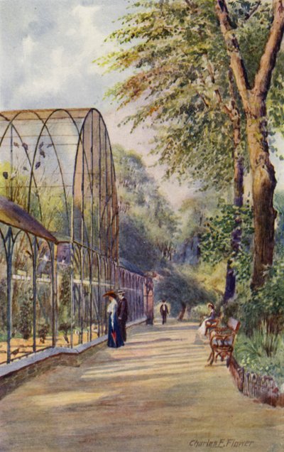 Zoológico de Londres: Aviario occidental (litografia en color) de Charles Edwin Flower