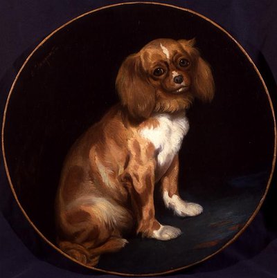 Un Spaniel King Charles de Charles Emile Callande de Champmartin