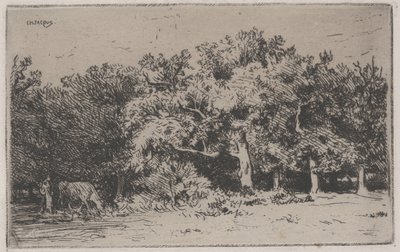 Un rincón del bosque de Fontainebleau de Charles Emile Jacque
