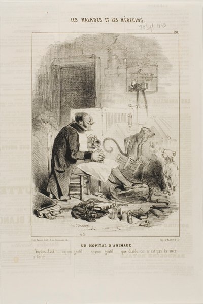 Un hospital de animales (placa 20) de Charles Emile Jacque
