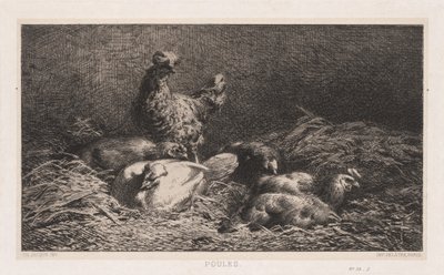 Pollos Poutes, 1867 de Charles Emile Jacque