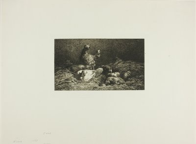 Gallinas en su gallinero de Charles Emile Jacque