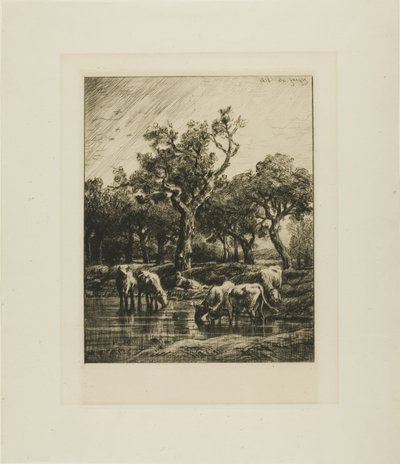 Vacas en un abrevadero de Charles Emile Jacque