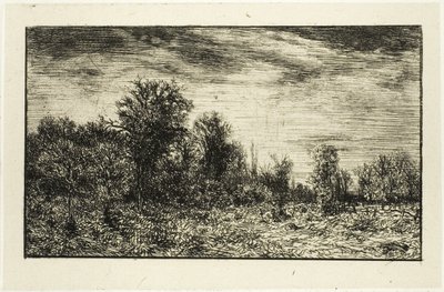Borde de un bosque, bajo cielo nublado de Charles Emile Jacque