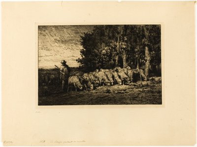 Rebaño de ovejas al borde de un bosque de Charles Emile Jacque