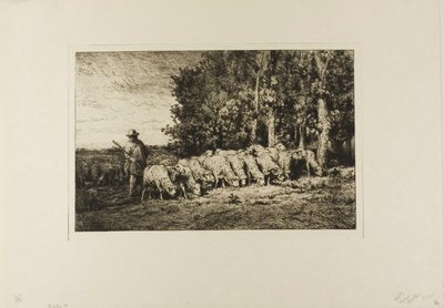 Rebaño de ovejas al borde de un bosque de Charles Emile Jacque