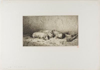 Cuatro Cerdos Durmiendo de Charles Emile Jacque