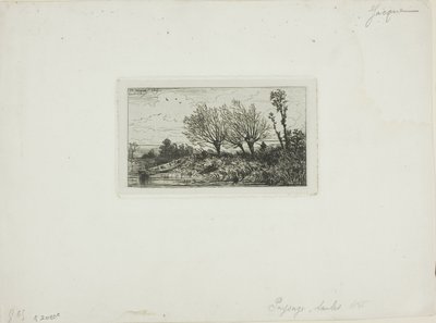 Paisaje, Árboles de Sauce de Charles Emile Jacque