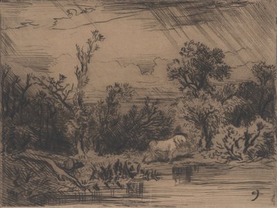 Paisaje con tormenta de Charles Emile Jacque