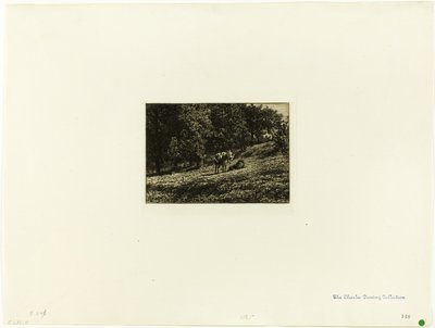 Huerto de Charles Emile Jacque