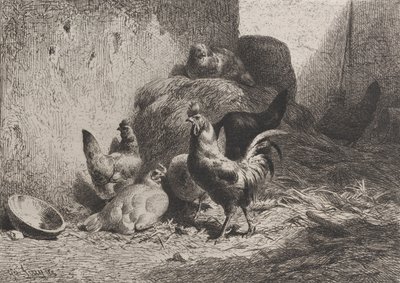 Gallo y gallinas, 1864 de Charles Emile Jacque
