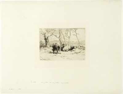 Ovejas y cinco árboles de Charles Emile Jacque
