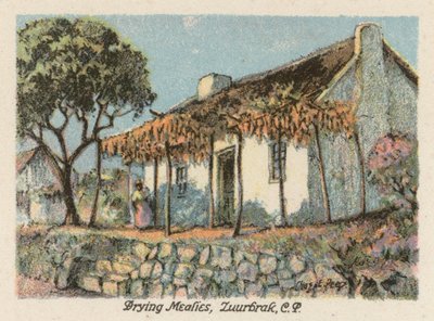 Sudáfrica: Drying Mealies, Zuurbrak, CP (litografía en color) de Charles Ernest Peers