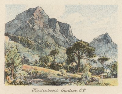 Sudáfrica: Jardines Kirstenbosch, CP (litografía en color) de Charles Ernest Peers