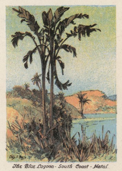 Sudáfrica: La Laguna Azul, Costa Sur, Natal (litografía en color) de Charles Ernest Peers