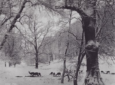 Parque Knole (foto en blanco y negro) de Charles Essenhigh Corke