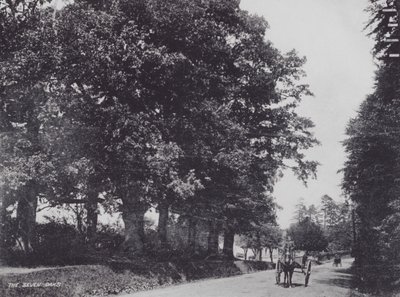 Los Siete Robles (foto en blanco y negro) de Charles Essenhigh Corke