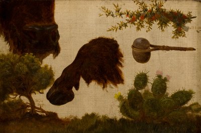 Estudio para “El búfalo herido”: salvia de la colina, cabeza y pezuña de búfalo, baya de toro, hacha de piedra y cactus… de Charles Ferdinand Wimar