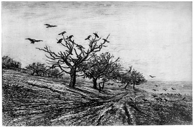 Arbre a Corbeaux, 1840-1875, 1924 de Charles Francois Daubigny