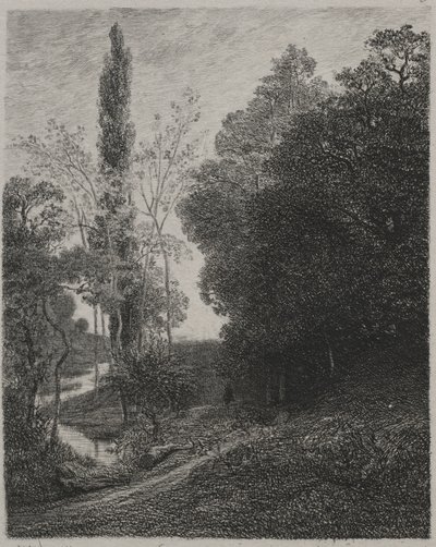Orillas del río Cousin, 1850 de Charles Francois Daubigny