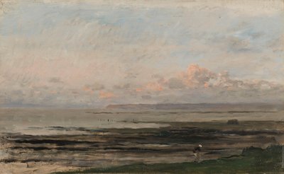 Playa en marea baja
Una playa en marea baja de Charles Francois Daubigny