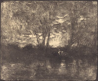 Vacas en un Abrevadero de Charles Francois Daubigny