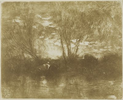 Vacas en el abrevadero de Charles Francois Daubigny