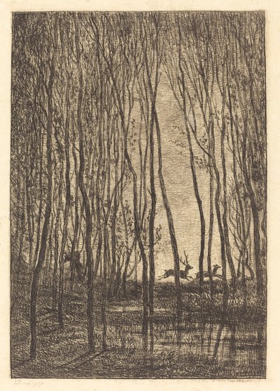 Ciervos en el bosque (Les Cerfs sous bois) de Charles Francois Daubigny