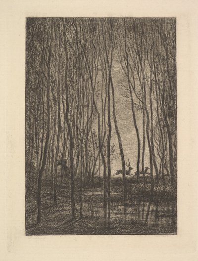 Ciervos en el bosque, 1850 de Charles Francois Daubigny