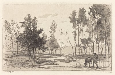 Burro en un abrevadero de Charles Francois Daubigny