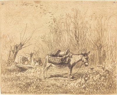 Burro en un campo de Charles Francois Daubigny