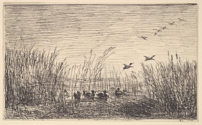 Patos en los pantanos, [1862], reimpreso 1921 de Charles Francois Daubigny