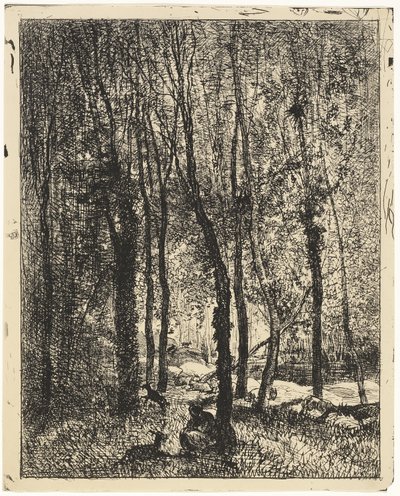 Pastor de Cabras de Charles Francois Daubigny