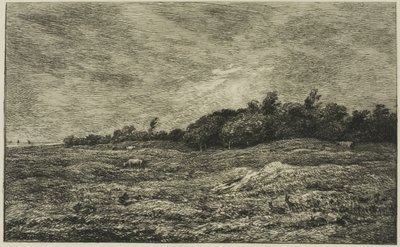 El Pré des Graves en Villerville (Calvados) de Charles Francois Daubigny