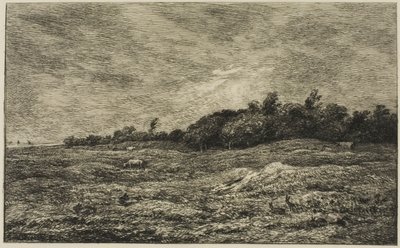 El Pré des Graves en Villerville (Calvados) de Charles Francois Daubigny