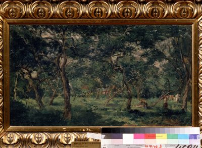 ""El olivar"" (Huerto de olivos) Pintura de Charles Francois Daubigny (1817-1878) 1870-1873 Museo Pushkin, Moscú de Charles Francois Daubigny