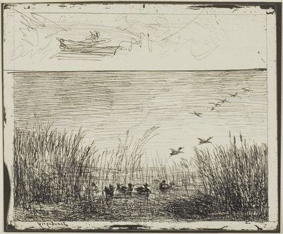 Pantano con patos de Charles Francois Daubigny