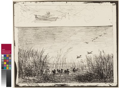 Pantano con Patos, 1862 de Charles Francois Daubigny